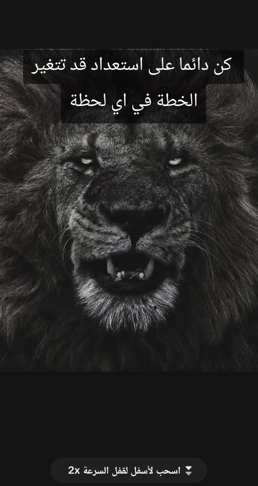 @🦁 scarface 🦁