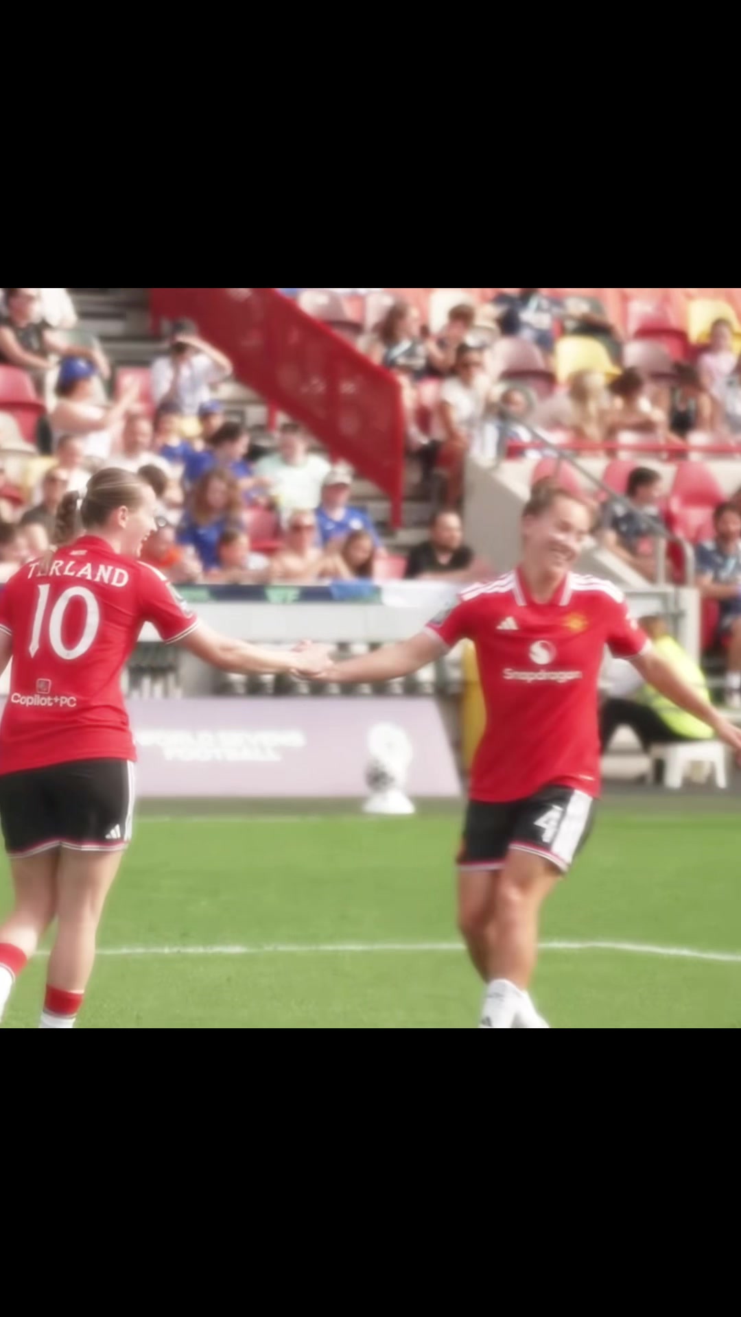 @lionesses_xoxo