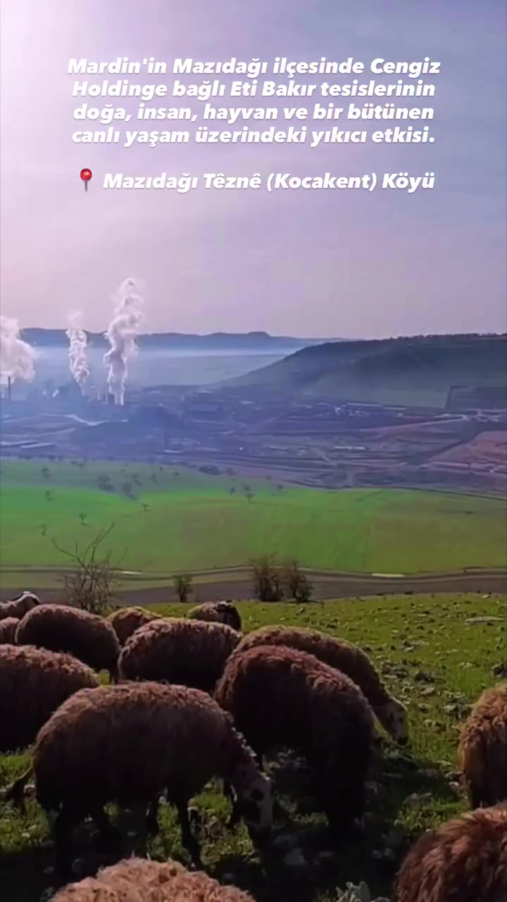 @GÜNEYDOĞU HAVA DURUMU