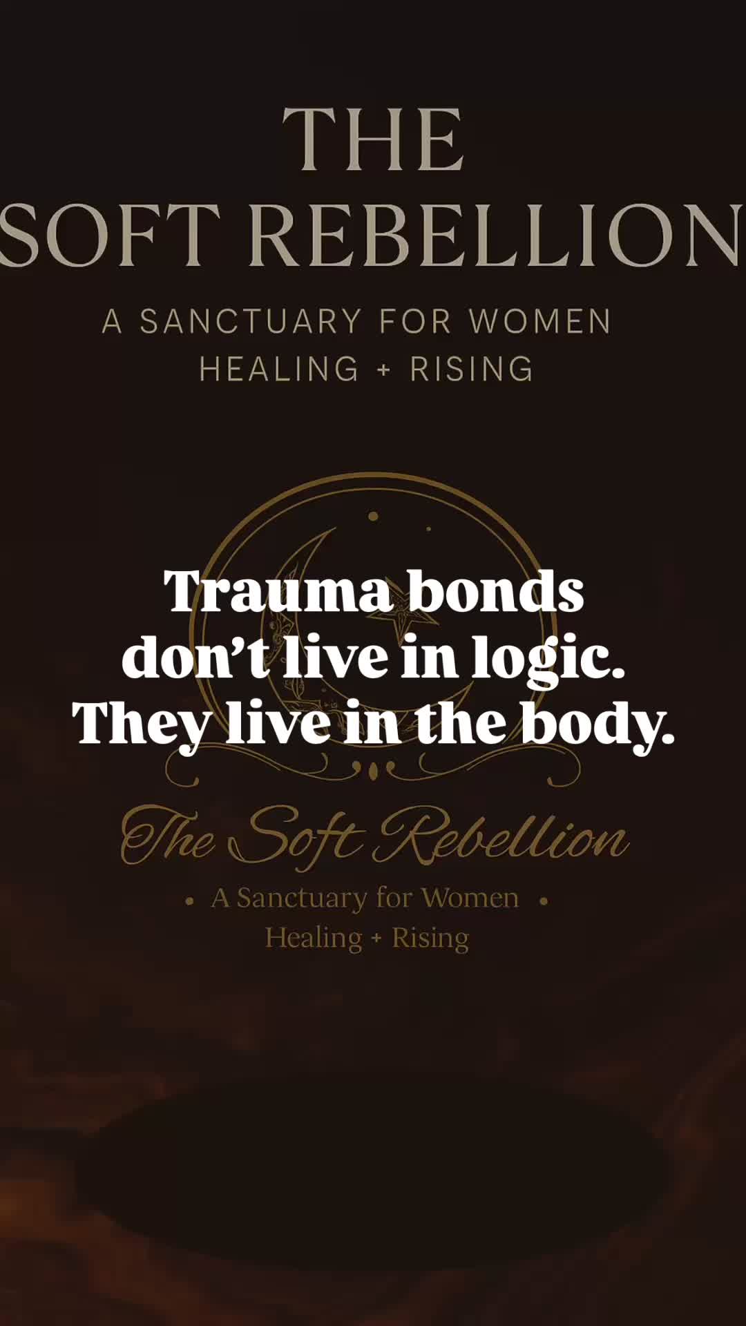 @TheSoftRebellion0