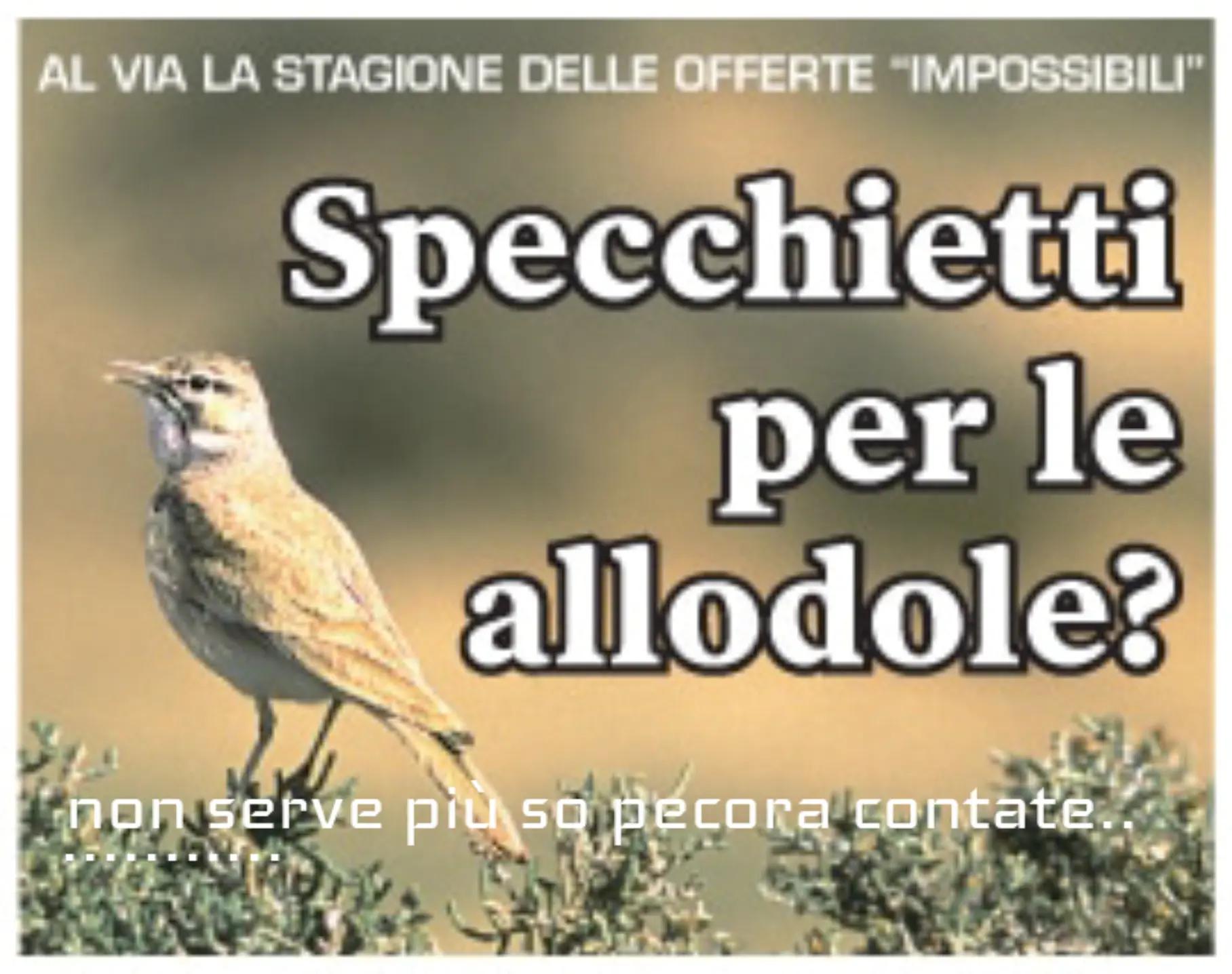 @ignoto 1