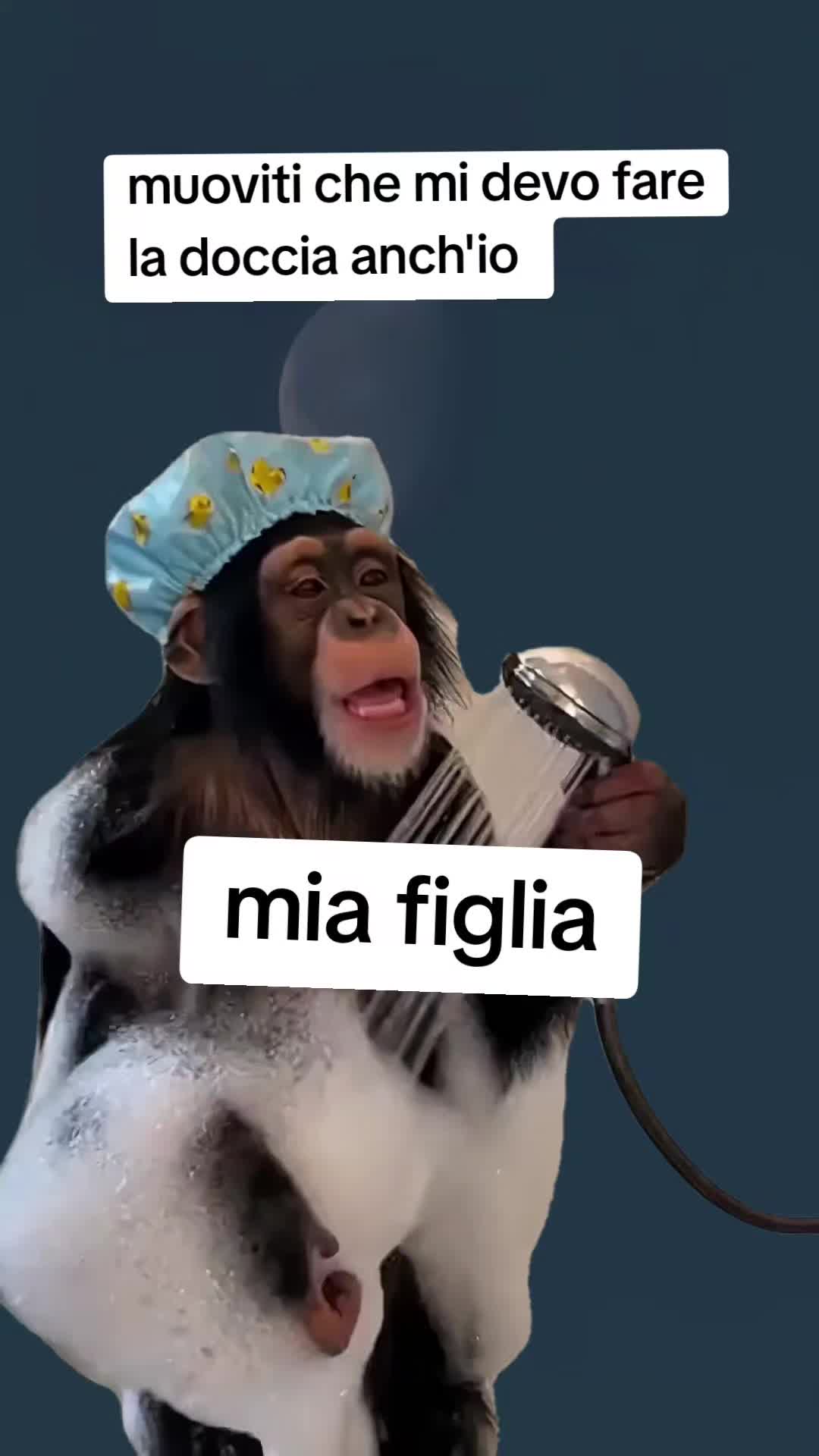 @Fufy