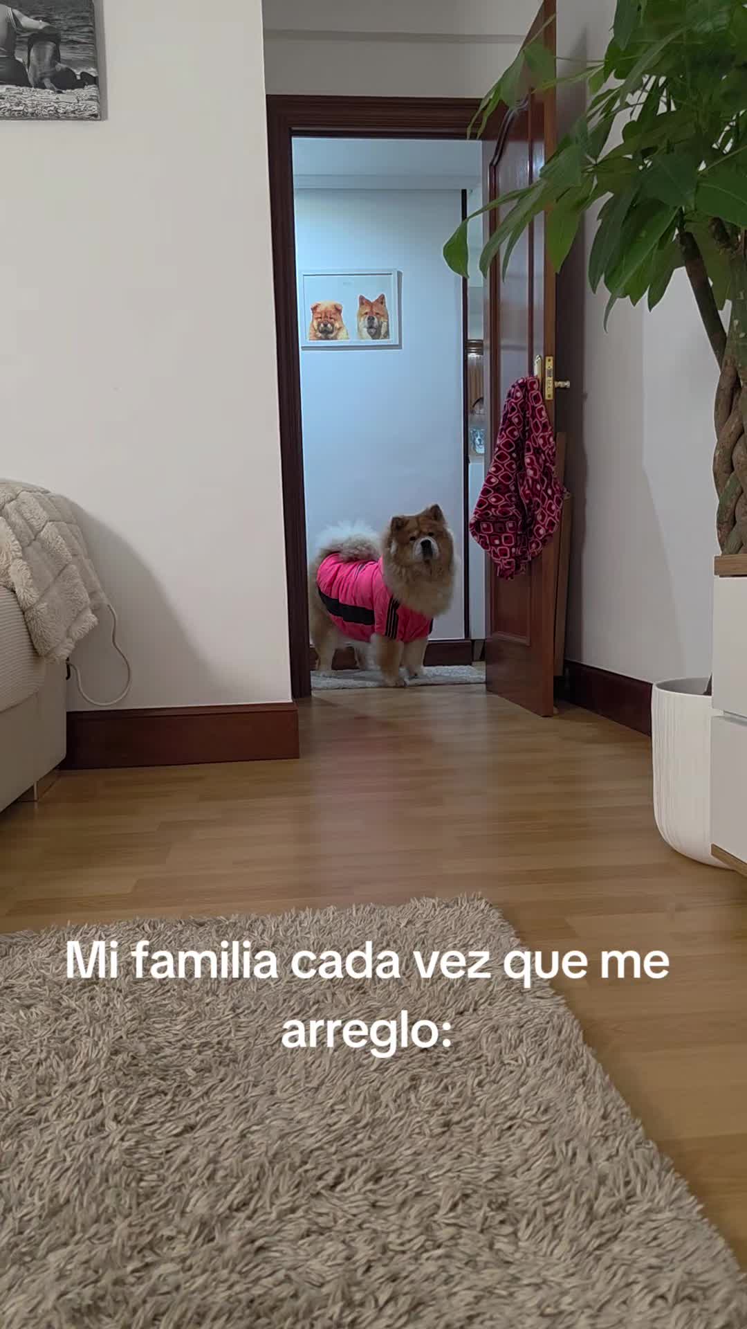 @Kenya y Daddy🐶