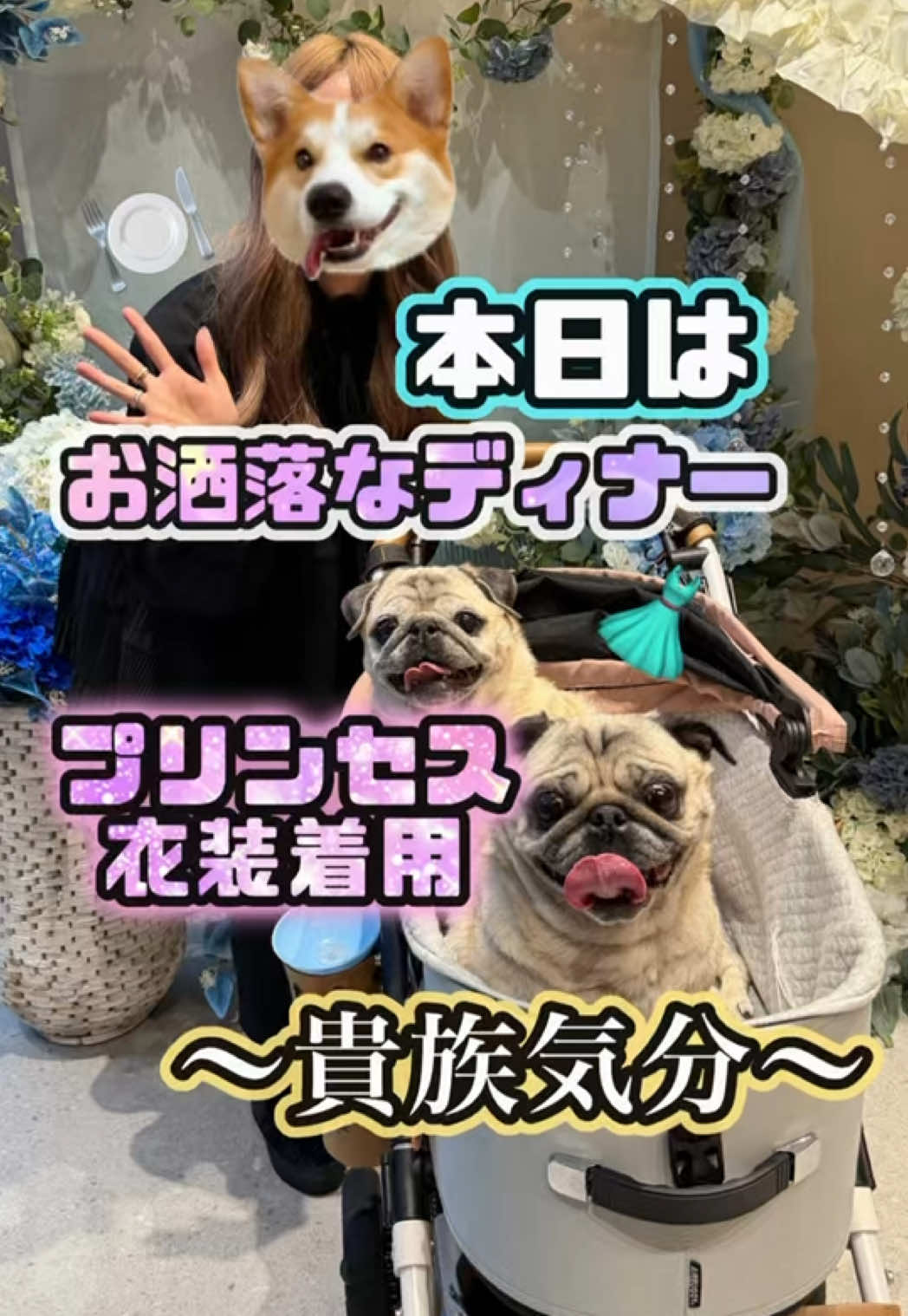 @ペコピノ🐶さっちゃん