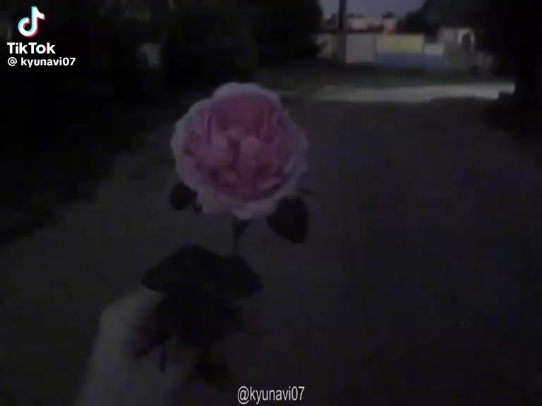 @➶Kitty_feef➶