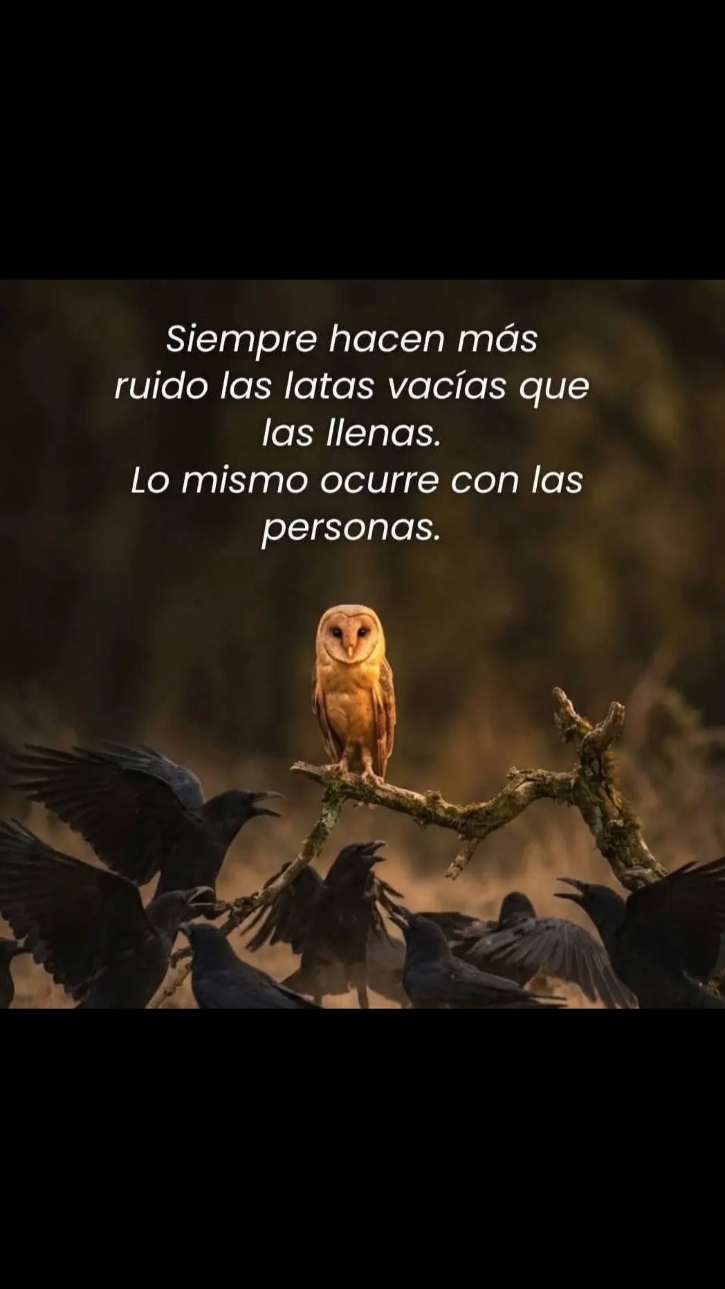 @carpe_diem4_9_8_2