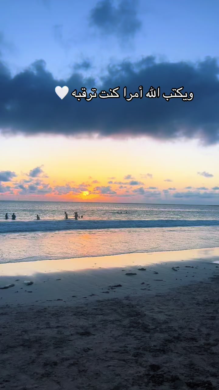 @Omfarouk_7