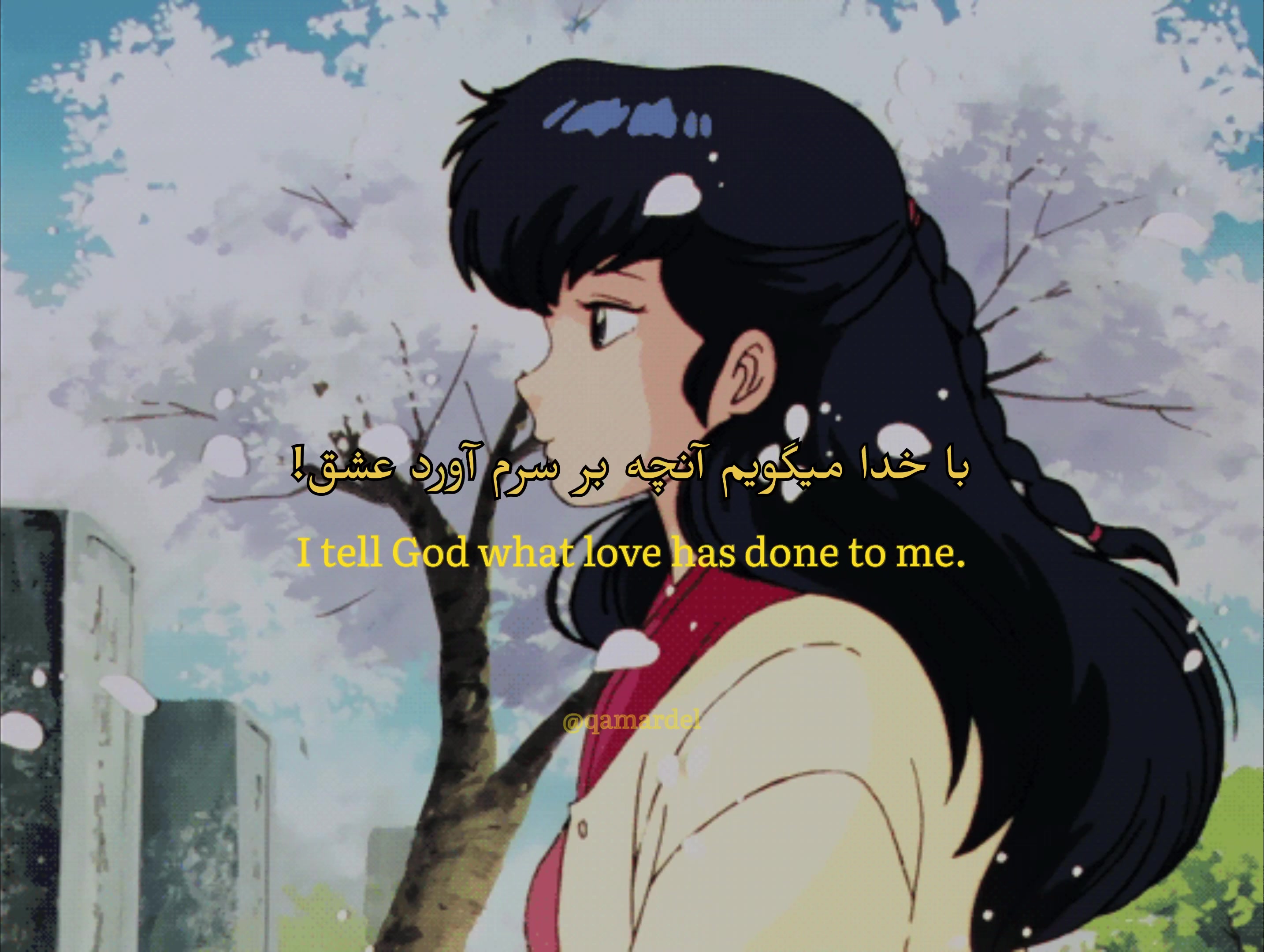 @✧