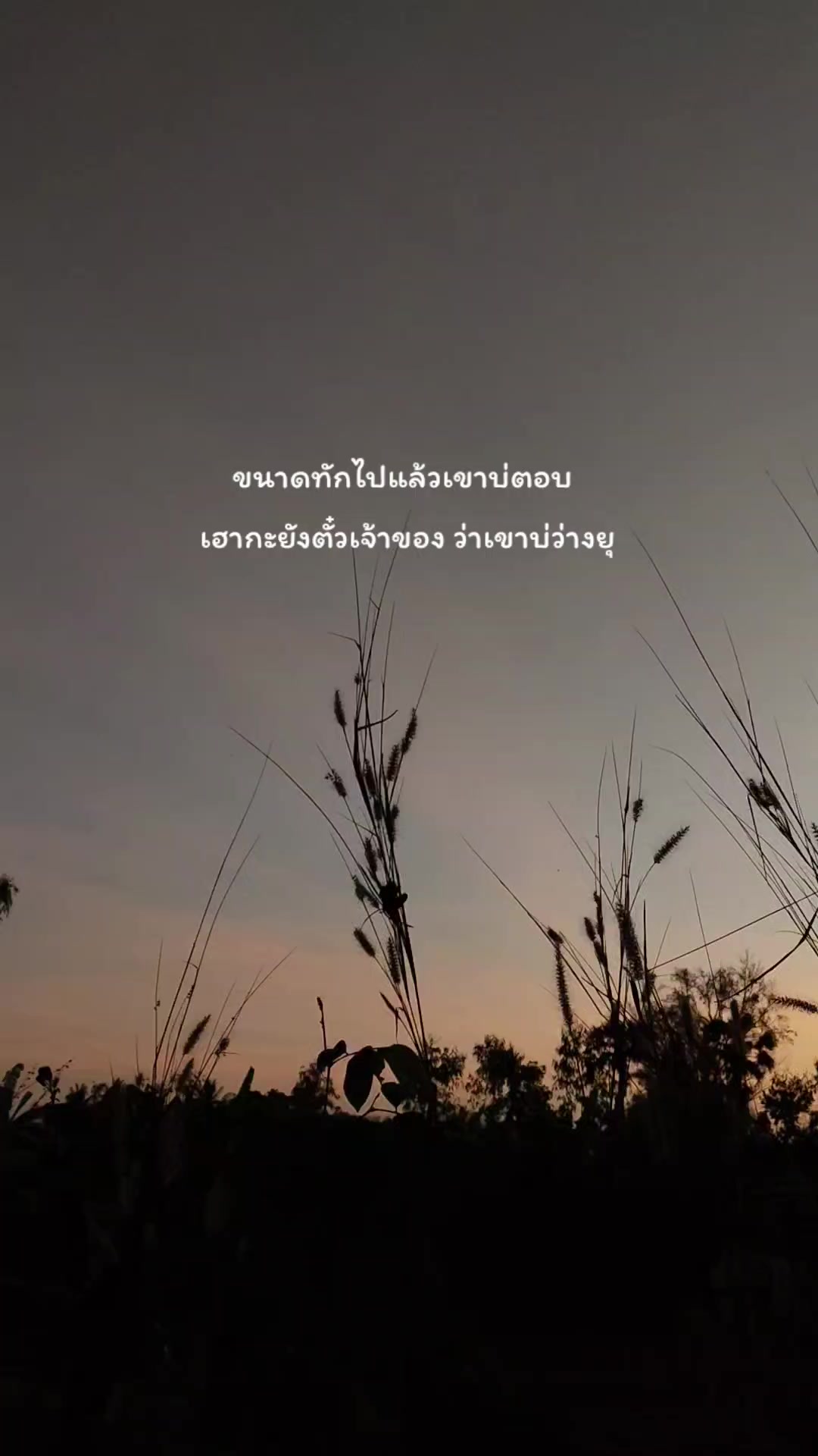@pipat🌻🤍51.7K