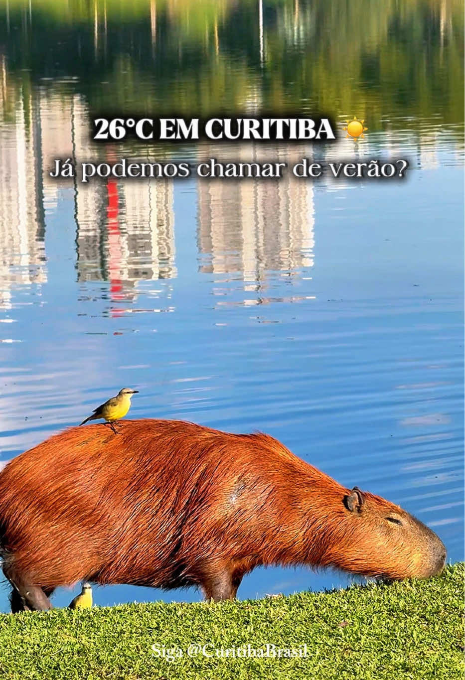 @CuritibaBrasil