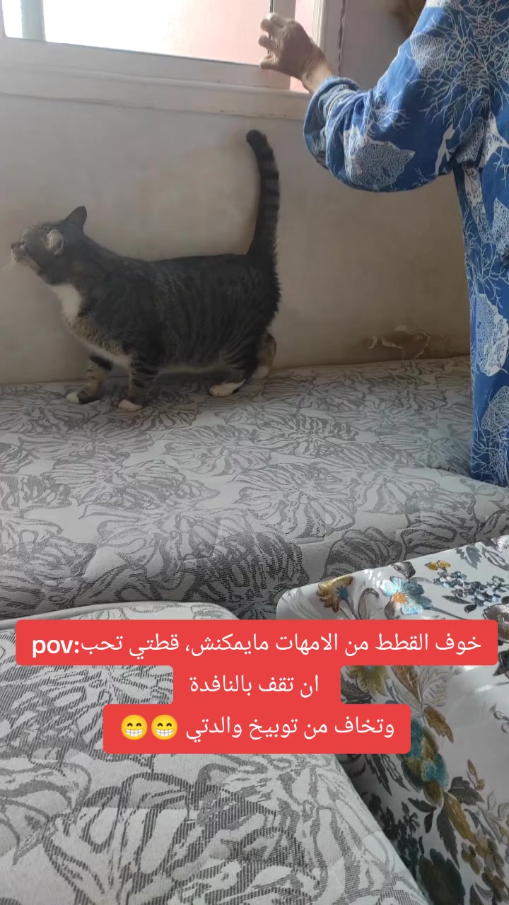 @عاشقة أبيها