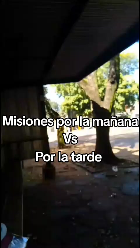 @Lorewol_15