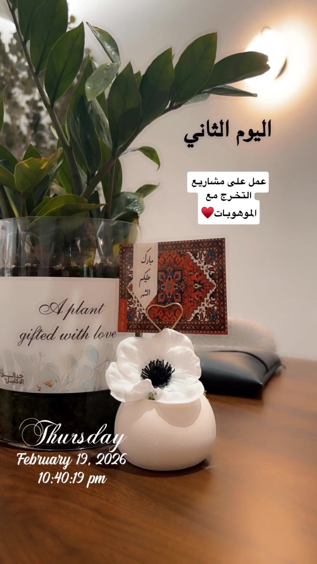 @فاتن الغامدي