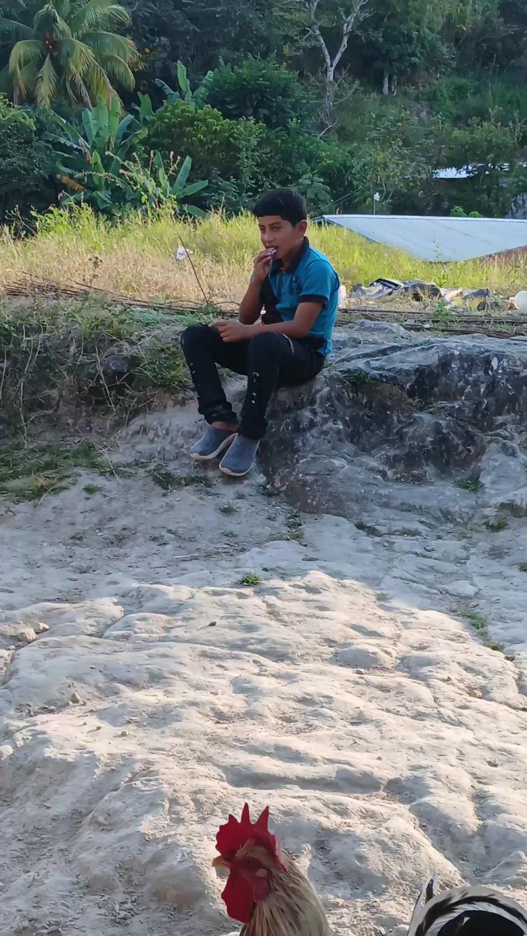 @Mauricio vargas