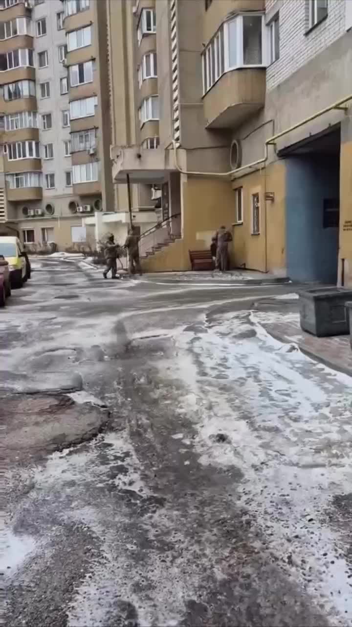 @Усатый - полосатый