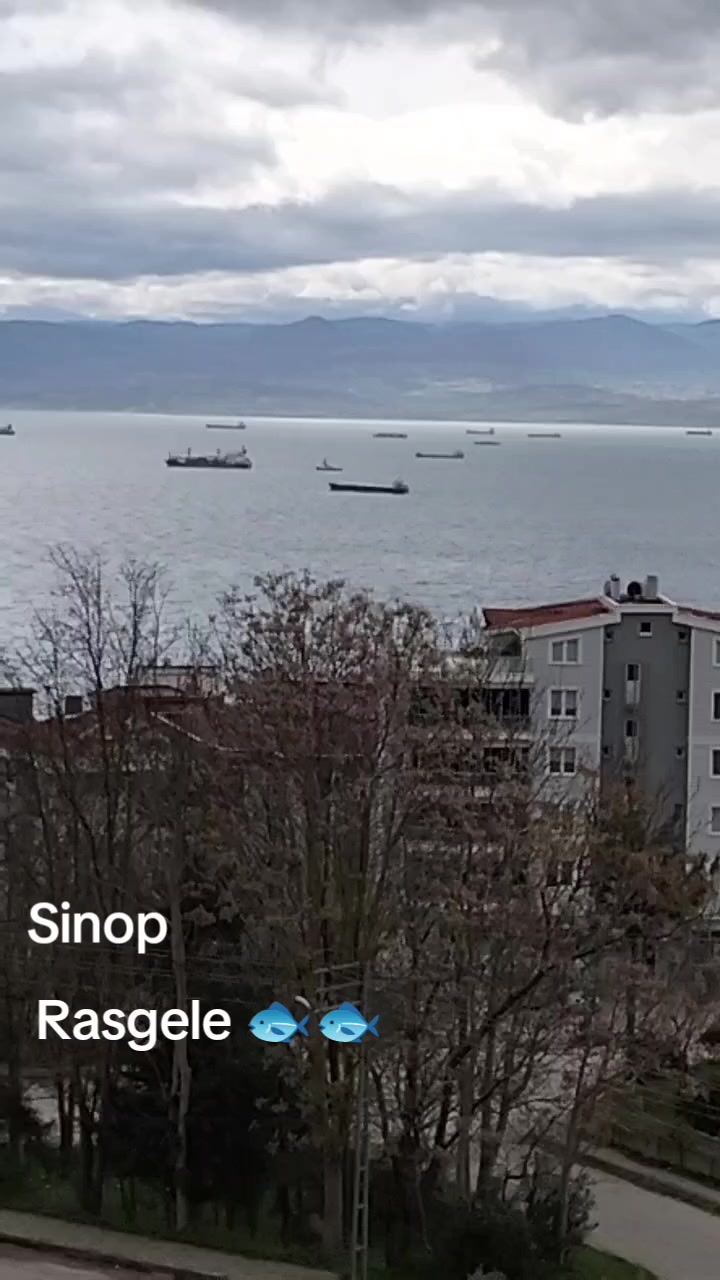 @sevimcannefes