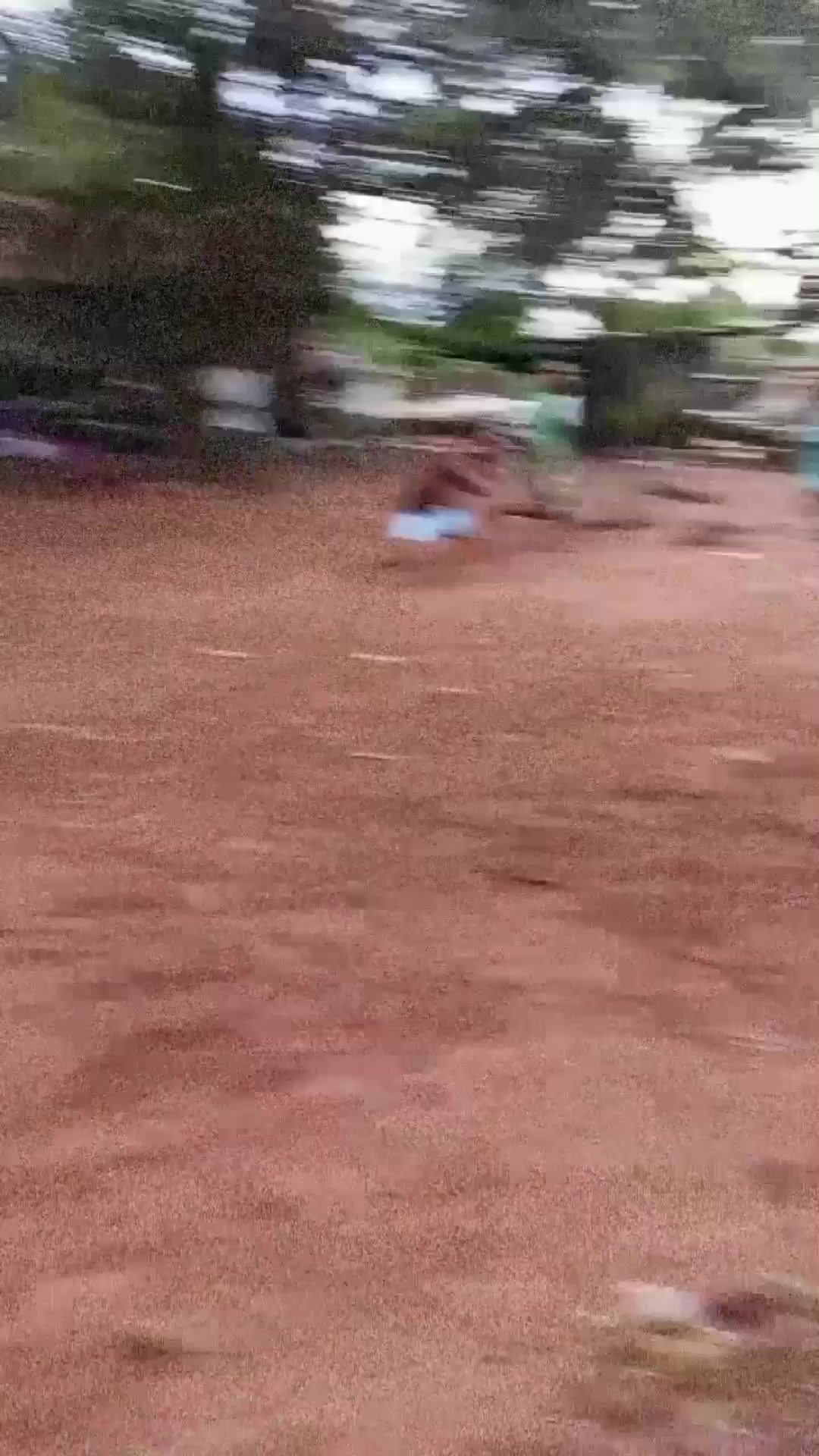 @BESTON 11 TRICKS