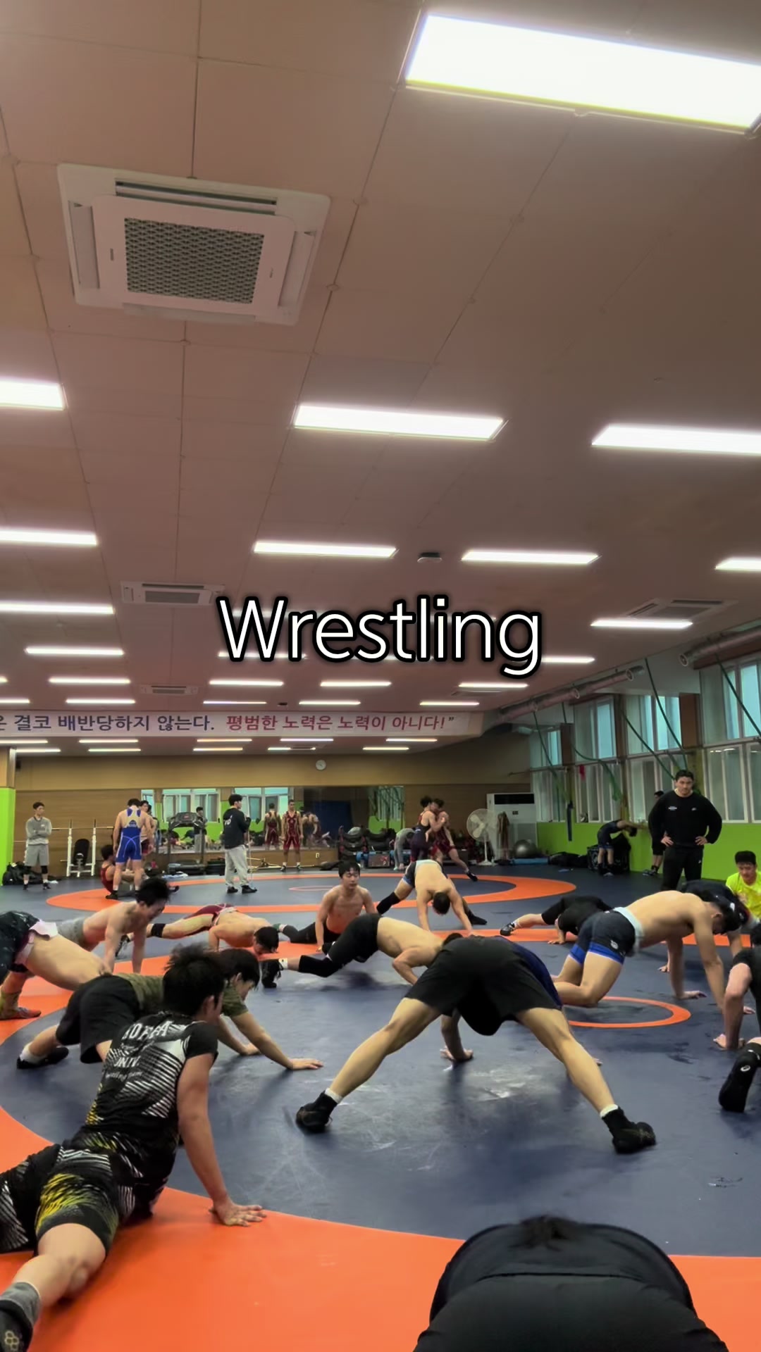 @WWW__wrestler
