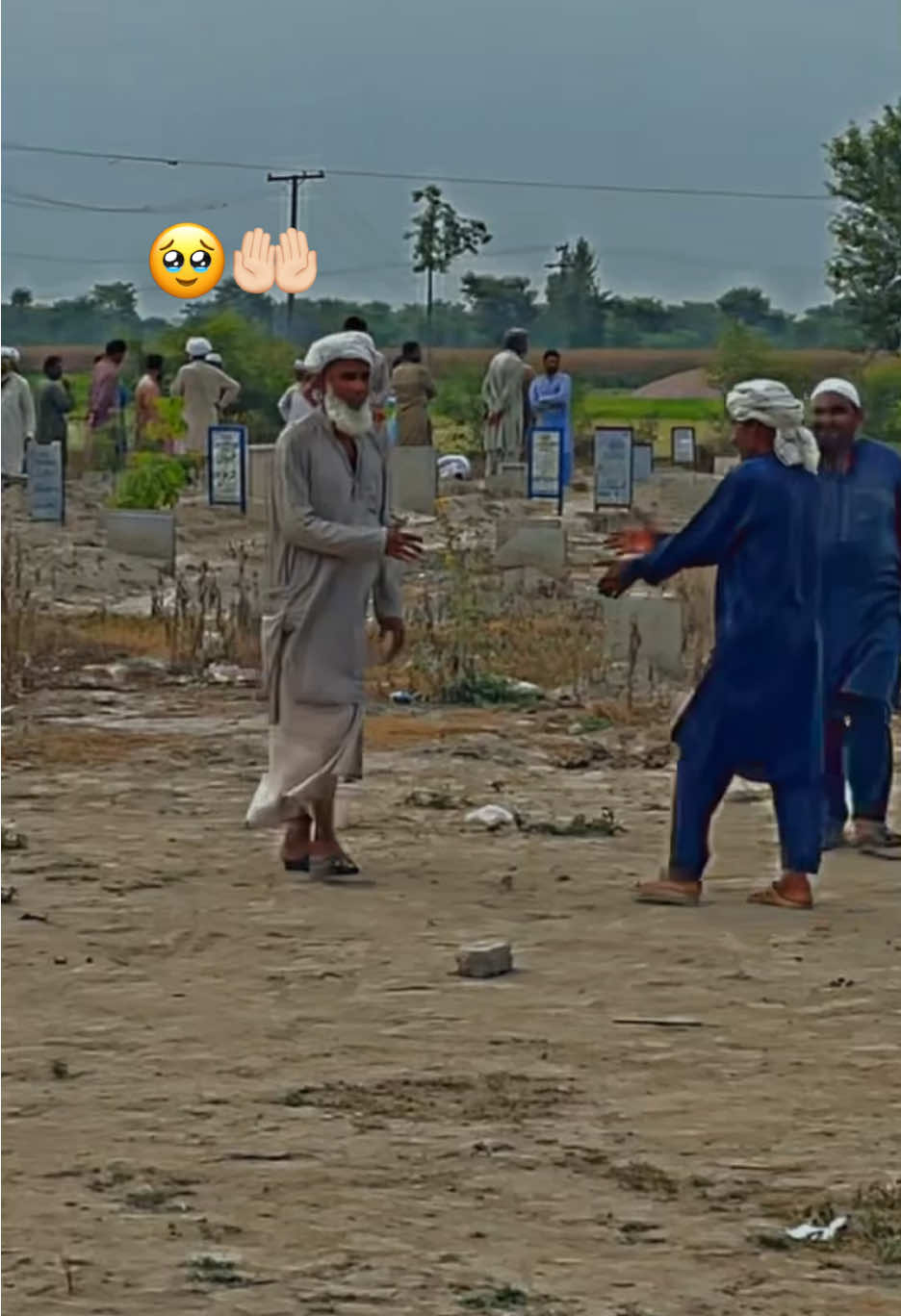 @🌱اویس میئو😎
