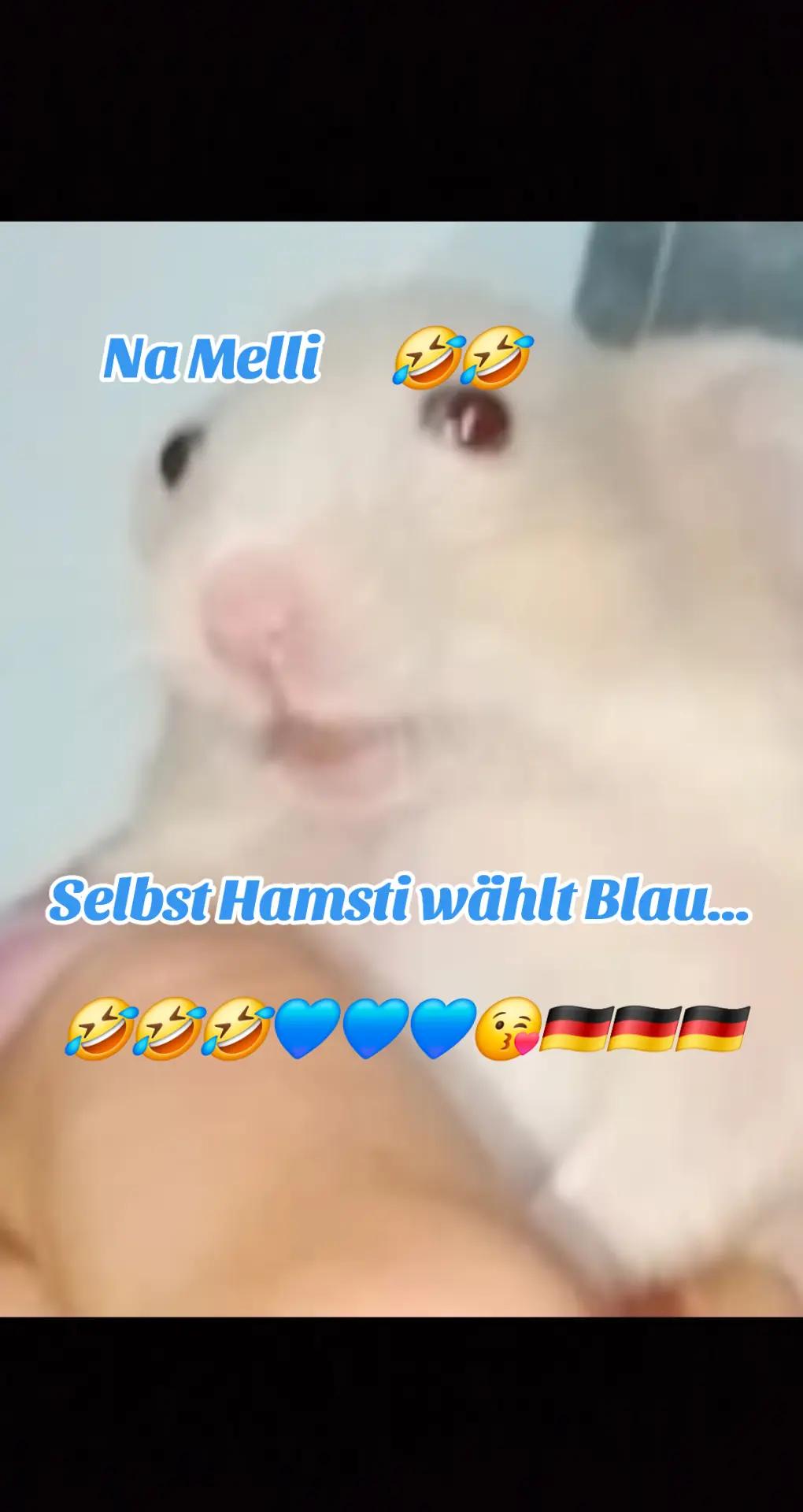 @susicabrita🖤🤍❤️🇷🇺💙💙💙