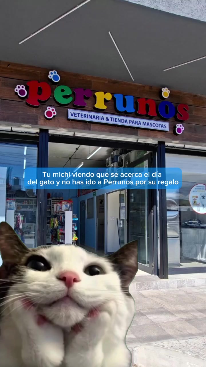 @Perrunos Veterinaria