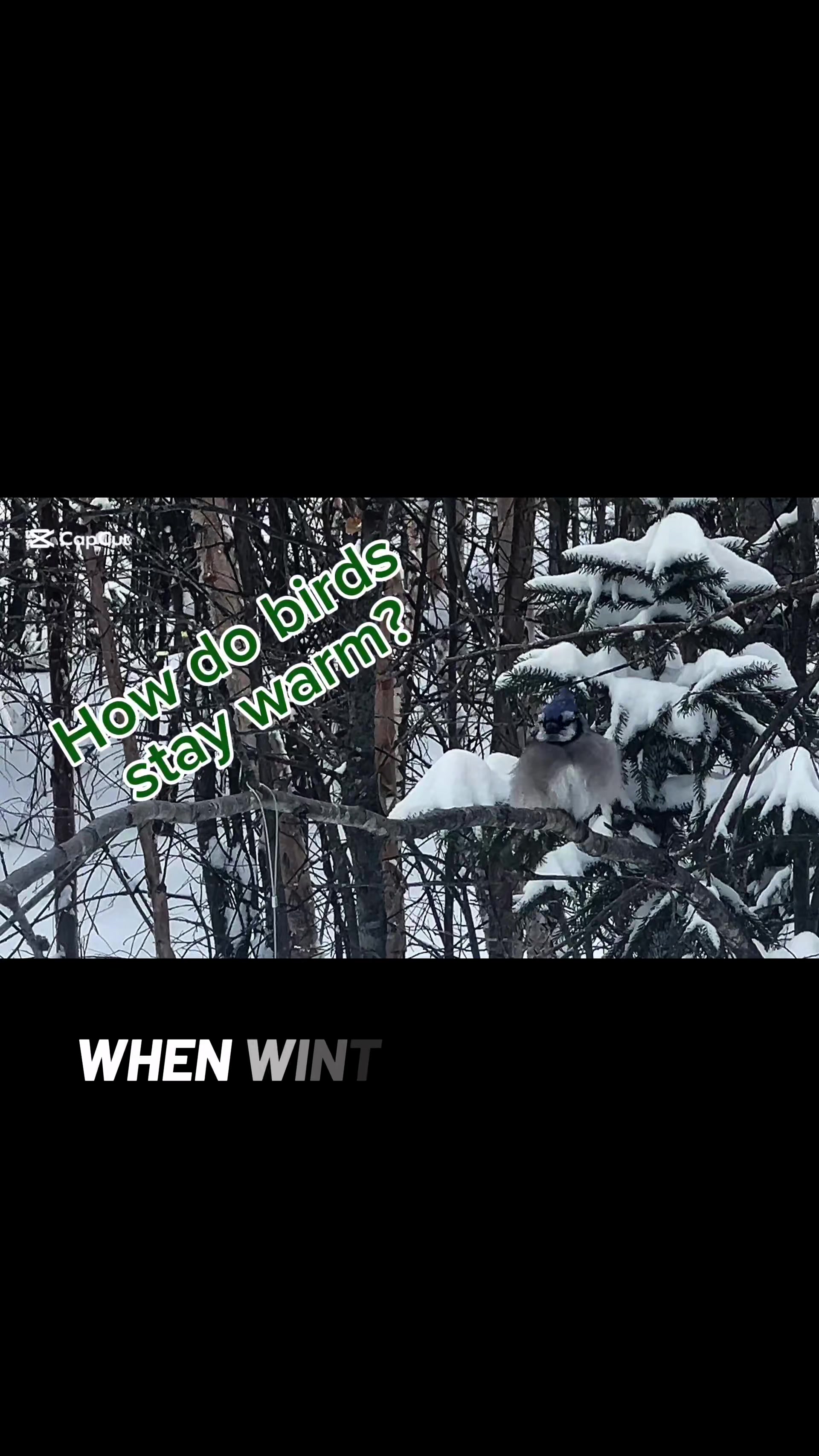 @WildBoreal 🇨🇦
