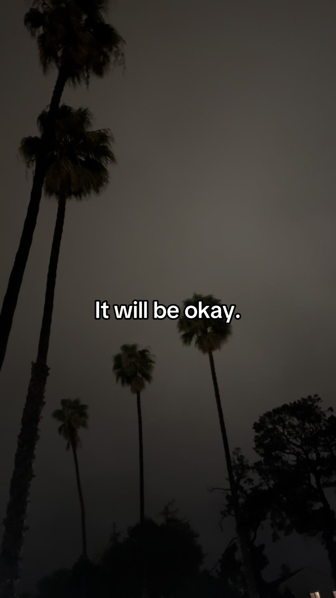 @Call Me Ju