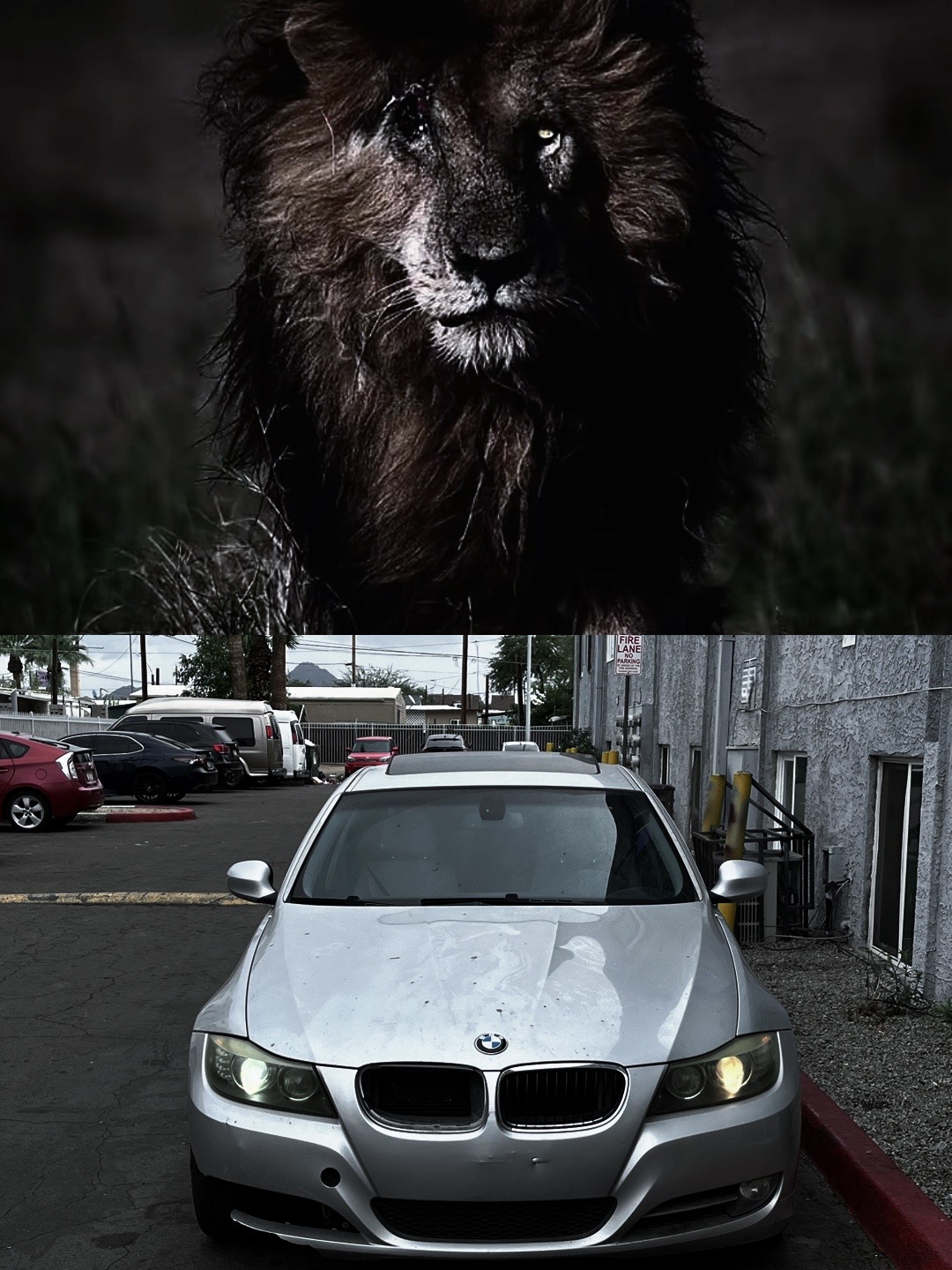 @A💫l🏎️e👋🏼x _ 🔧 ///M