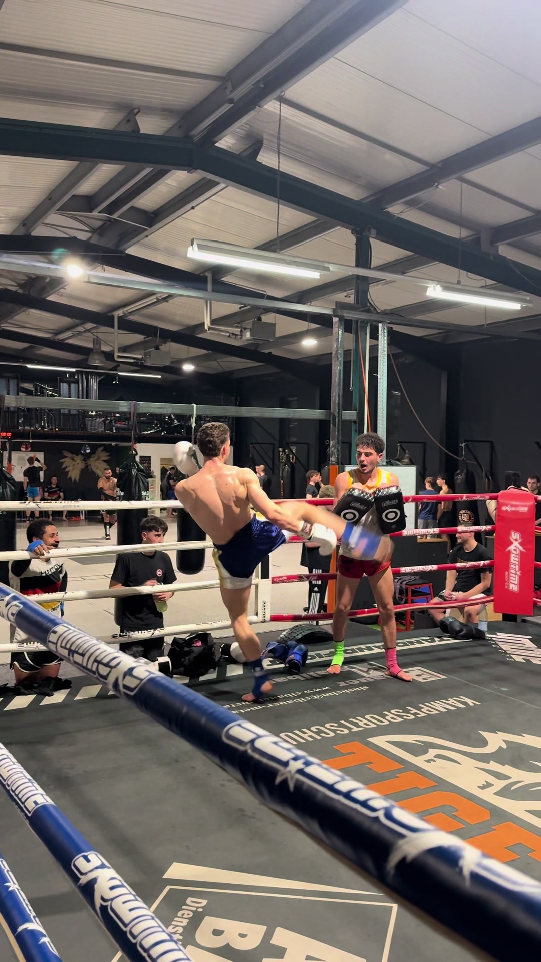 @Tiger Muay Thai Sinsheim