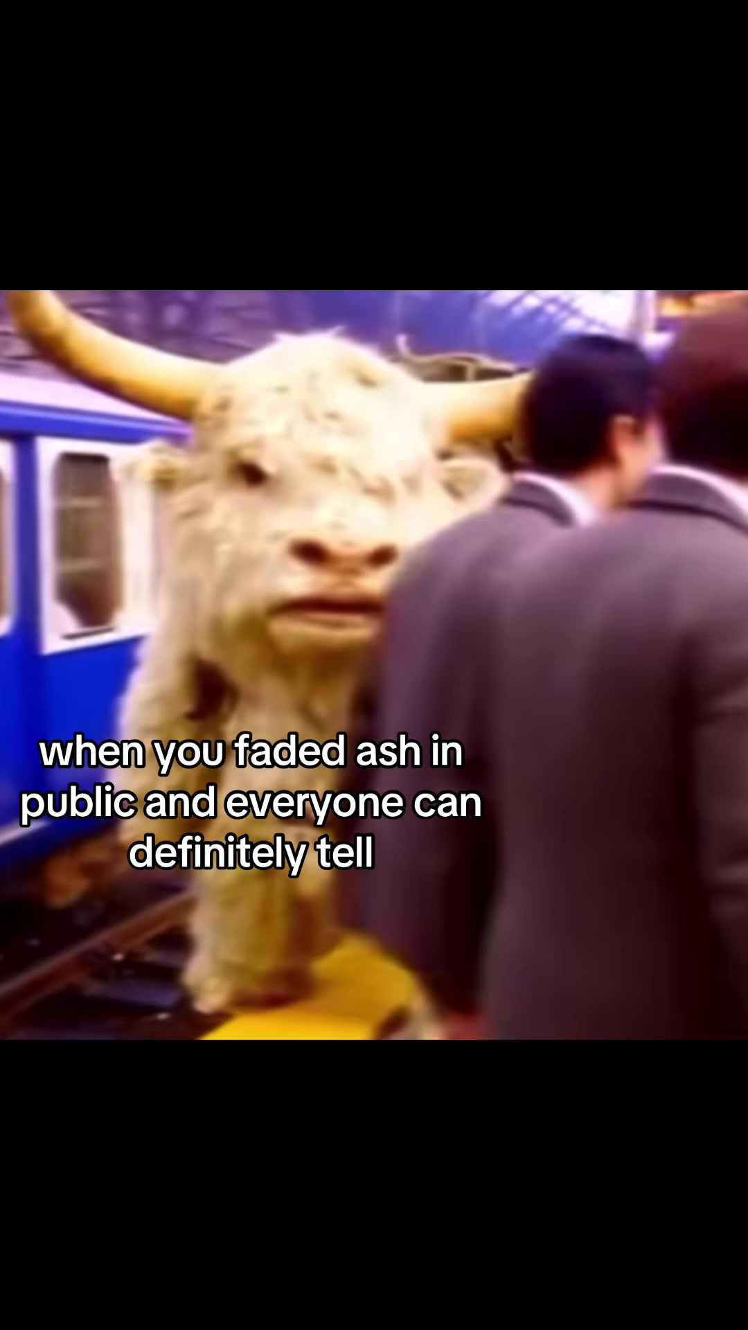 @luh dan