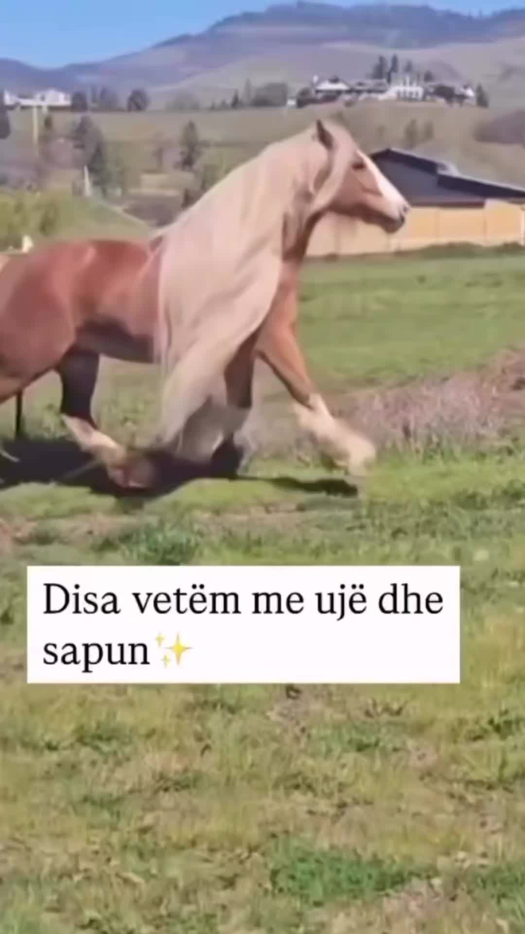 @Flavia😃