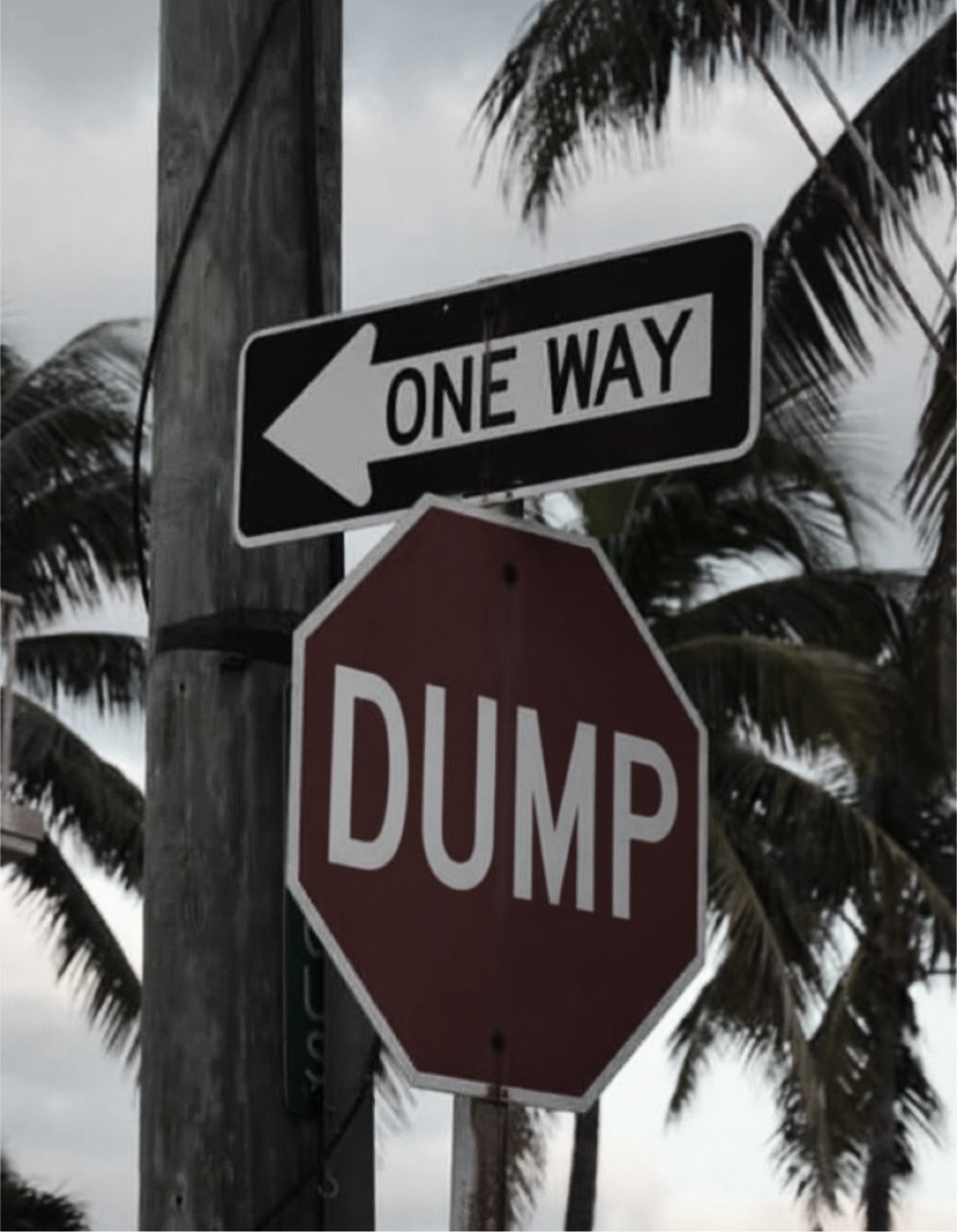 @charles