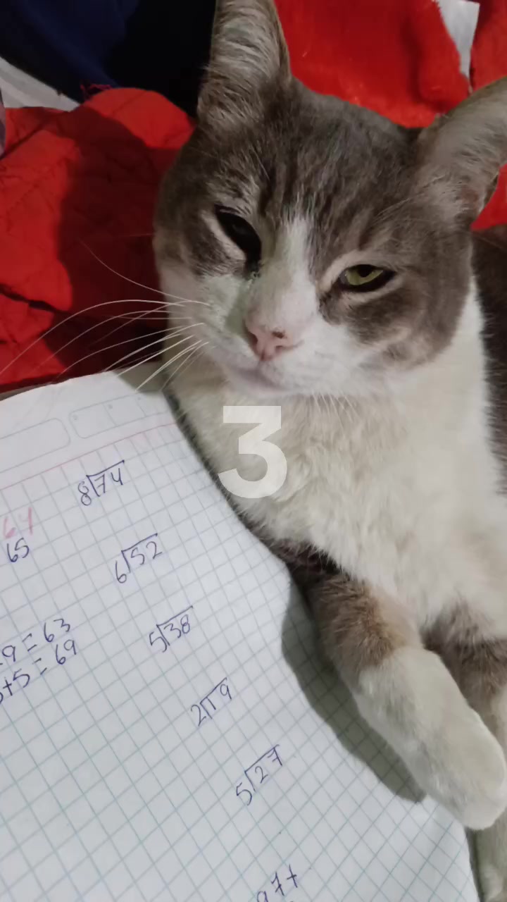@monix