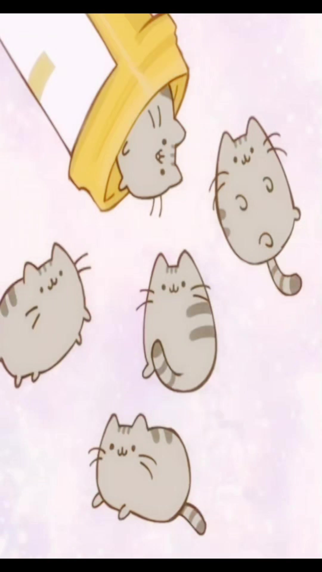 @𓆩♡𓆪