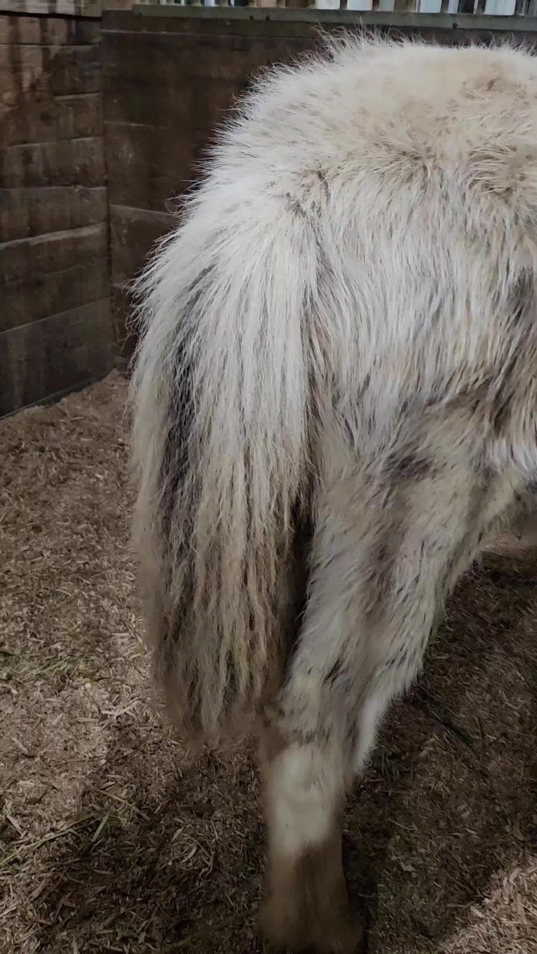 @Kismet Farm Crew