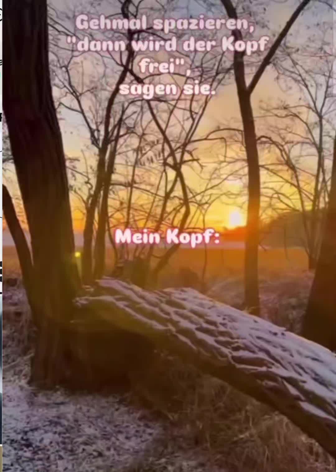 @ミ★ 𝘚𝘤𝘩𝘸𝘦𝘱𝘱𝘦𝘴 ★彡