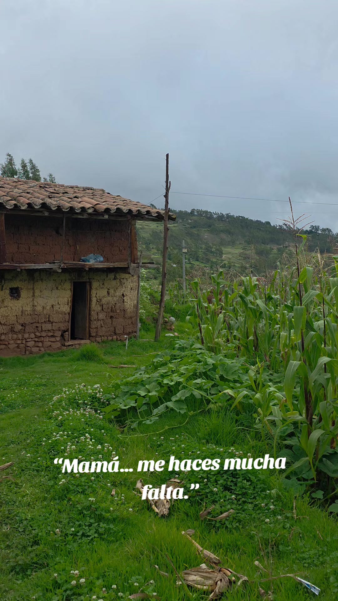 @Diomedes Navarro