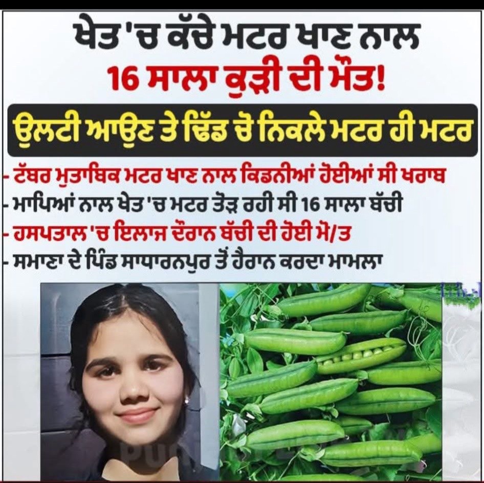 @amjot PB08 🇮🇳
