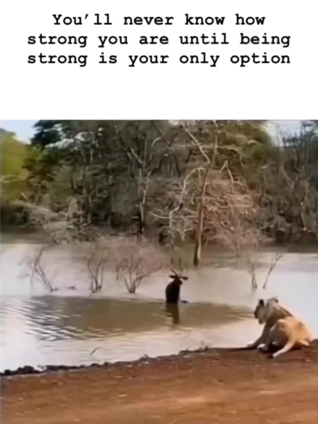 @FactsFussion