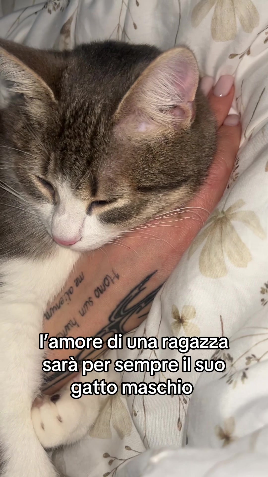 @pallina057