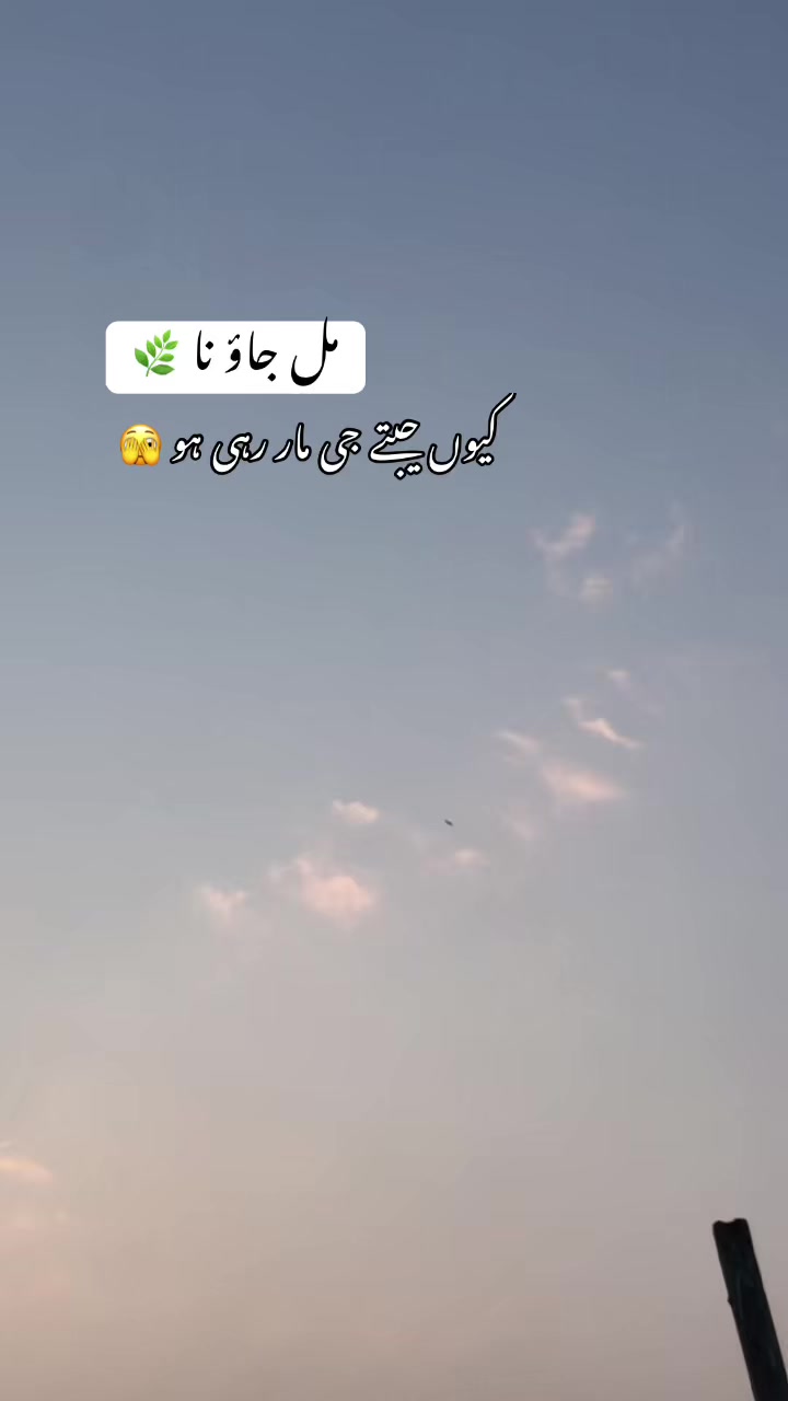 @Dr شیبی 🧑&zwj;⚕️🩺