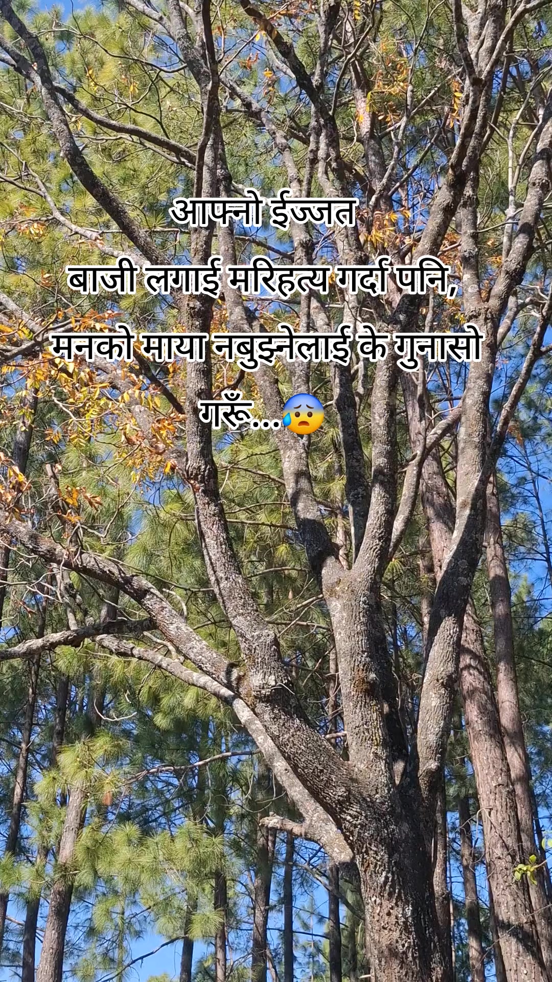 @शब्द 😰💔🥀