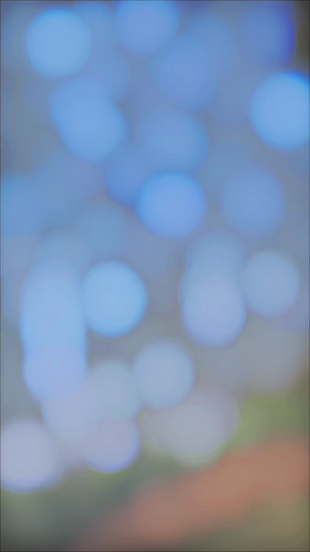 @👑🦋Ⓠ𝕦𝕖𝕖𝕟👸