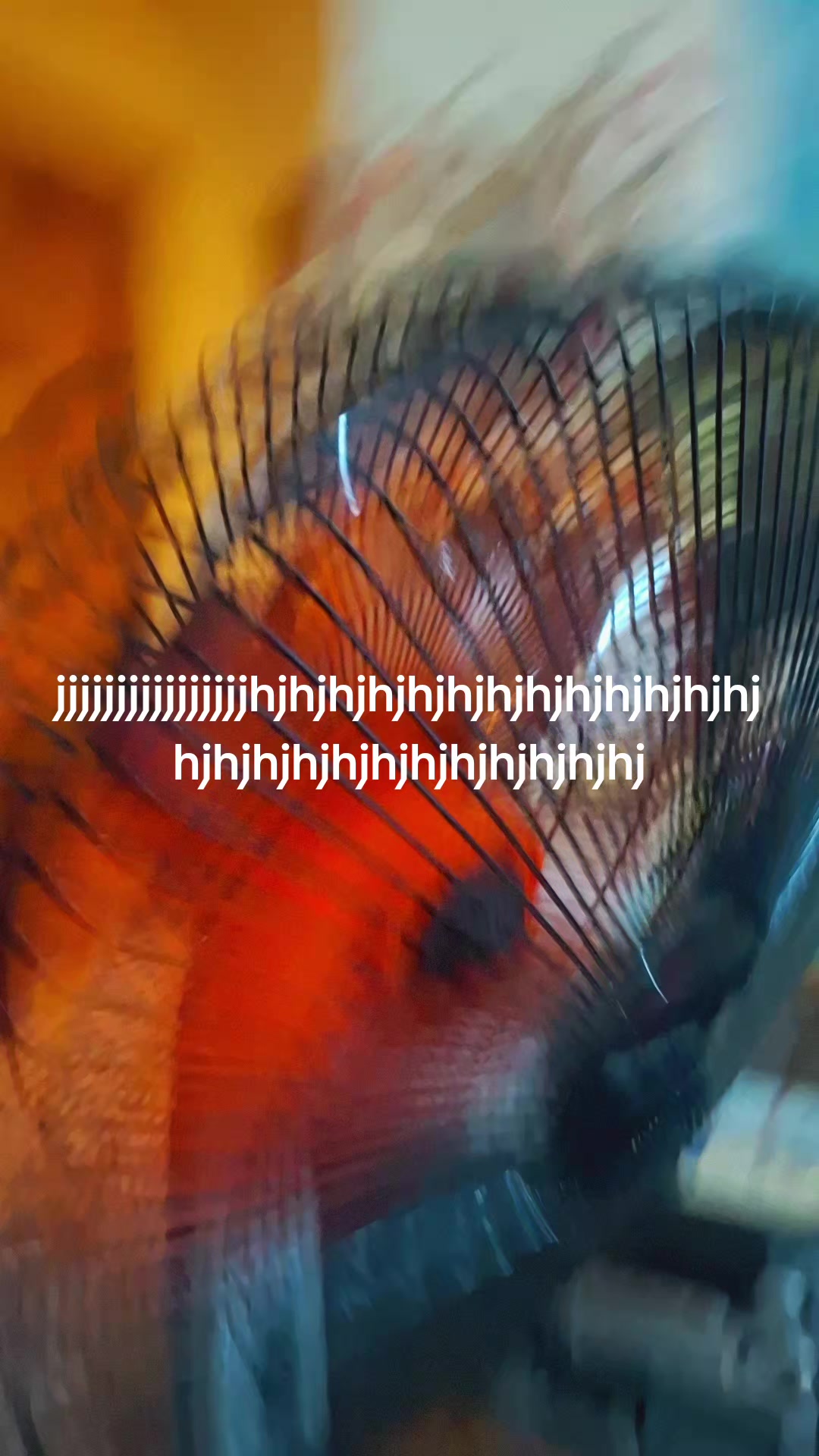 @Vitor Ribbot Caplashina