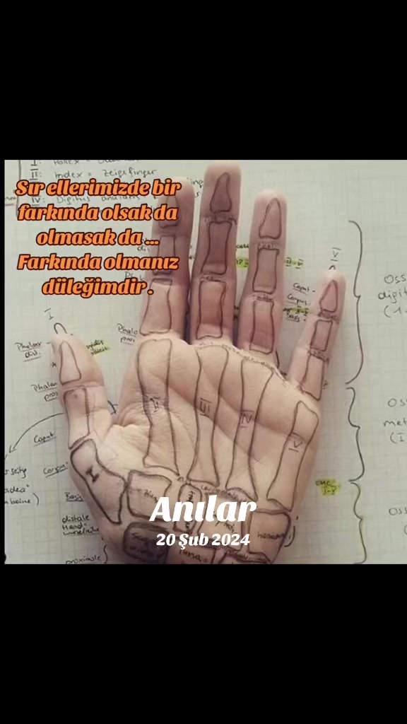 @El _&Ccedil;izgileri _Analizleri