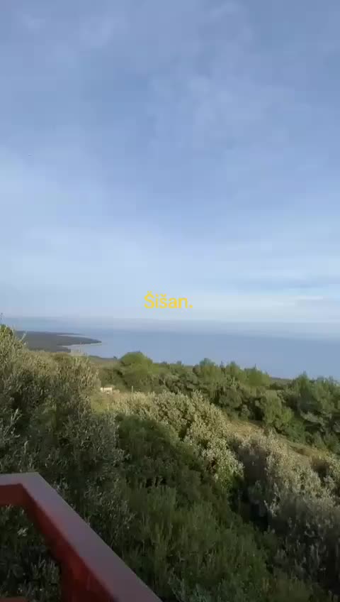 @Lukica