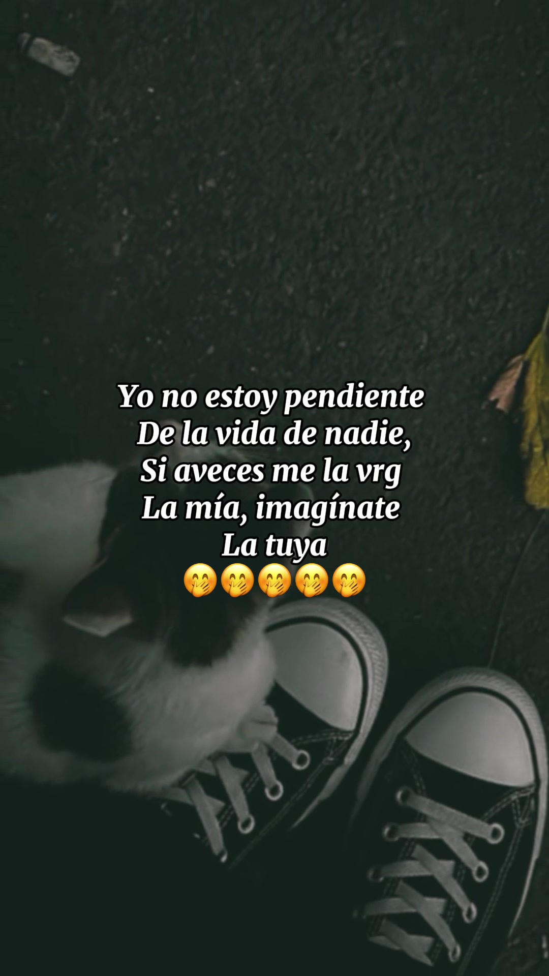 @☀️ Sol ☀️