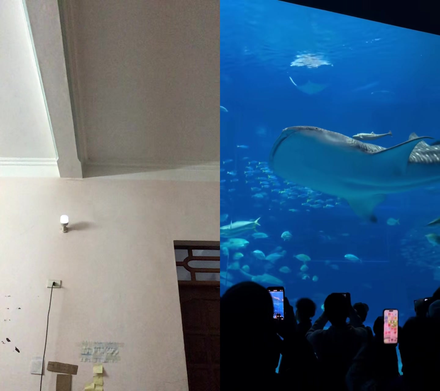 @duongma
