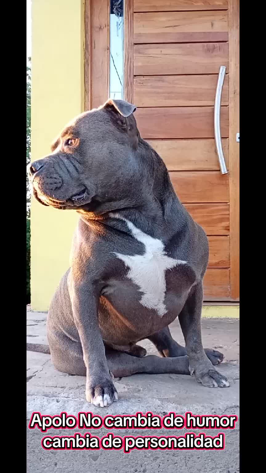 @Maira Pinto