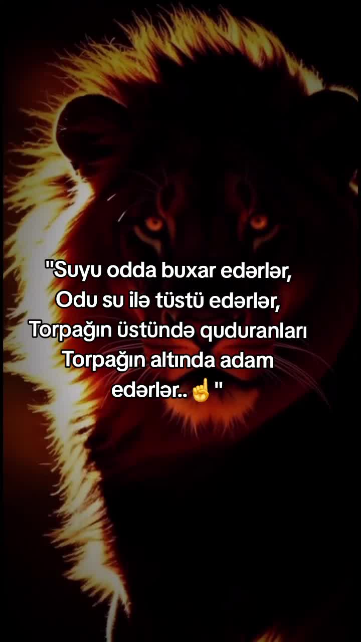 @Rəşad_Rəhimov